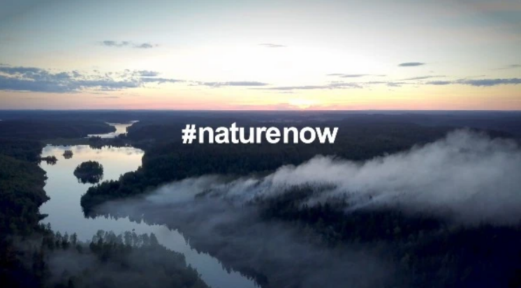 Nature now !