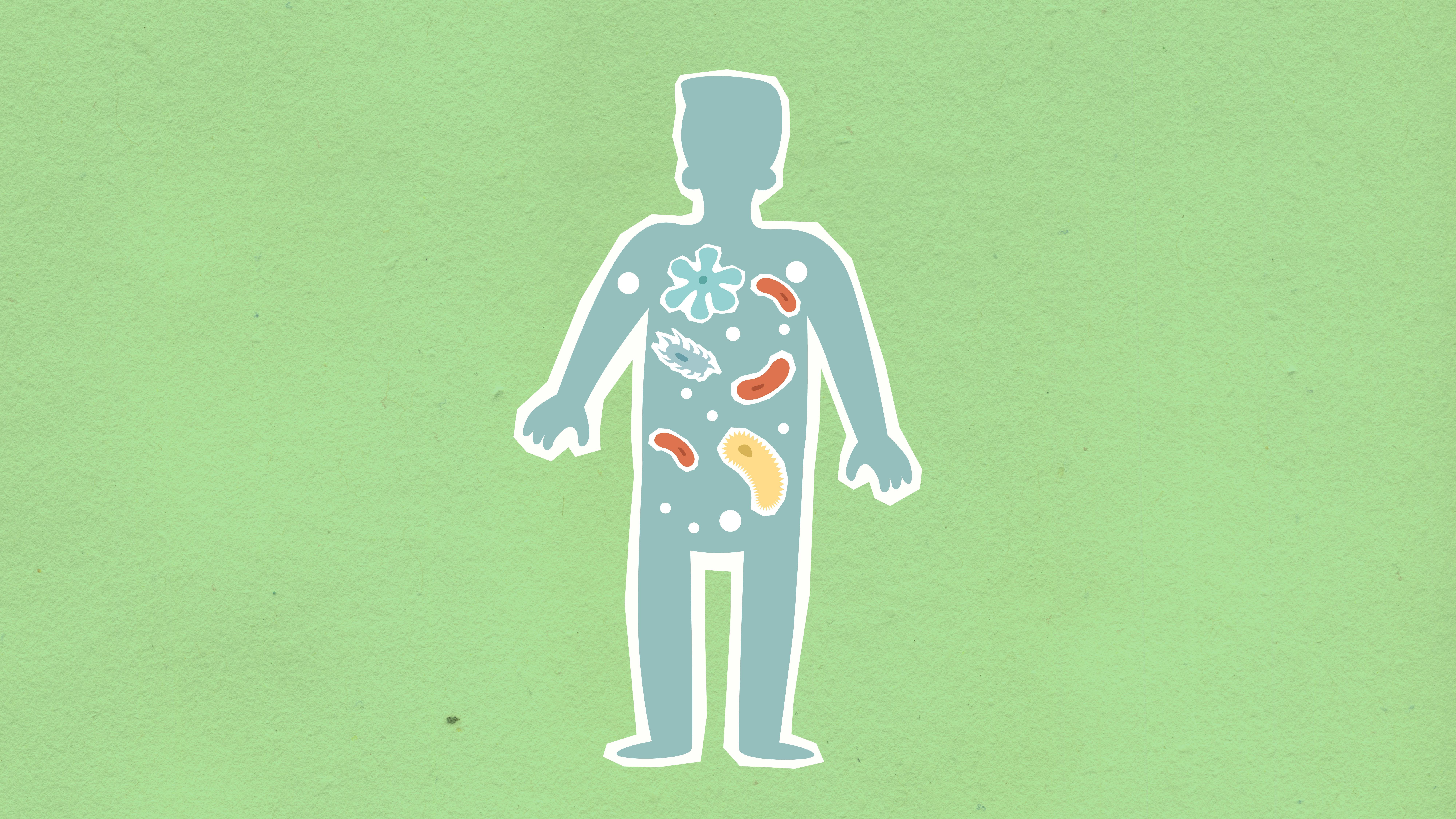 Vivre en symbiose avec « nos » bactéries !
