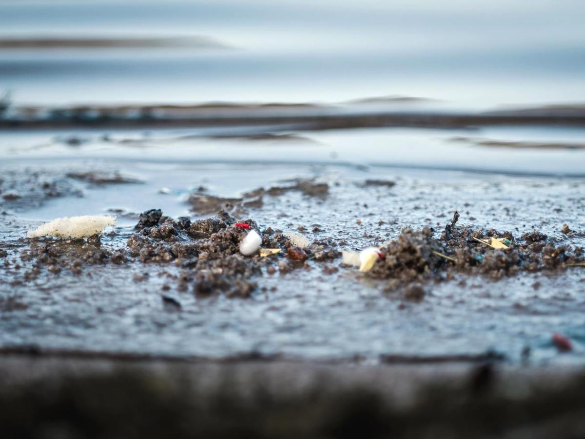 Les Guppy bags contre les microfibres&nbsp;plastiques