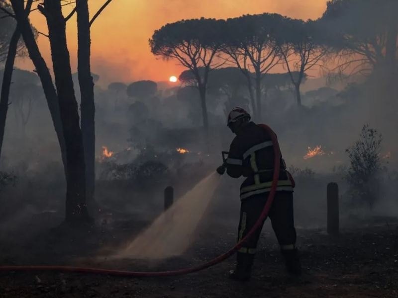 Ecologie et présidentielle