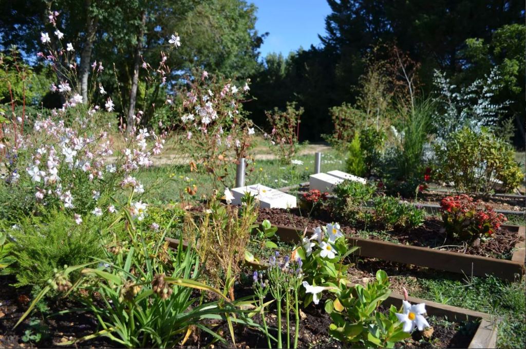 Nourrir la vie après la&nbsp;mort