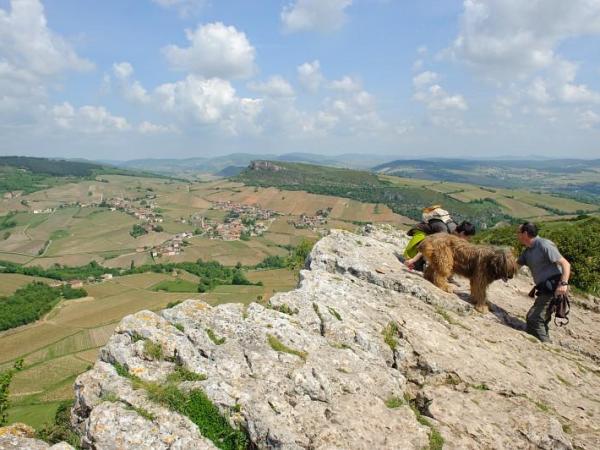 Vers un tourisme plus responsable…