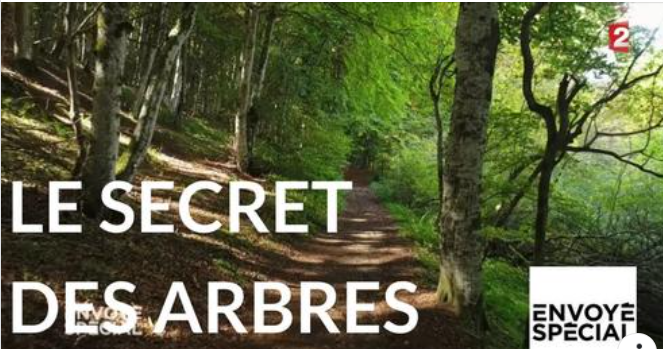 Arbres sensibles