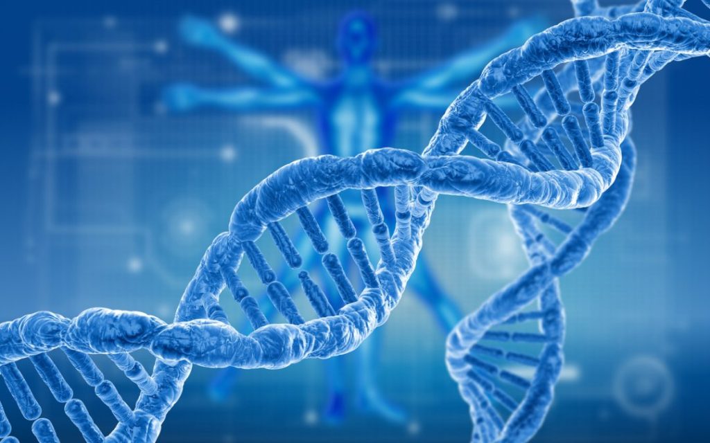 Incroyable épigénétique