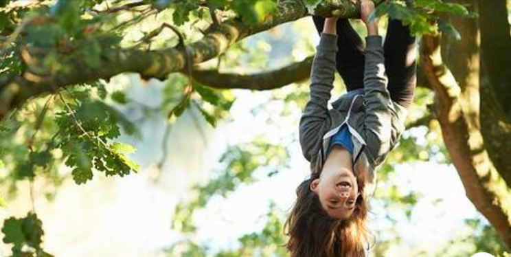 Ecole Nature