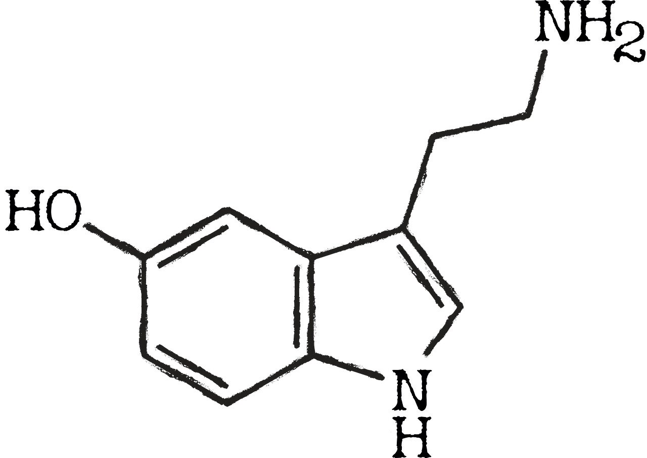 Hormones du bonheur