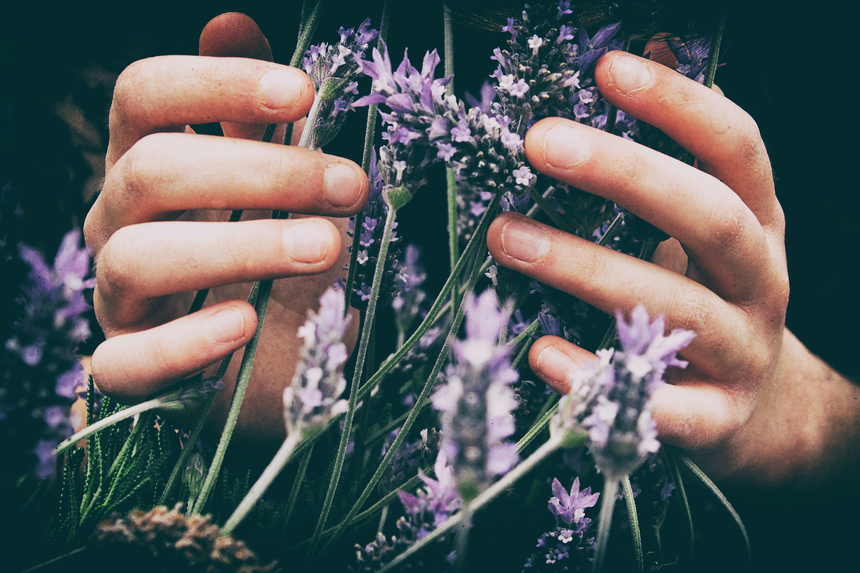 La Naturopathie pour vivre « avec nature »