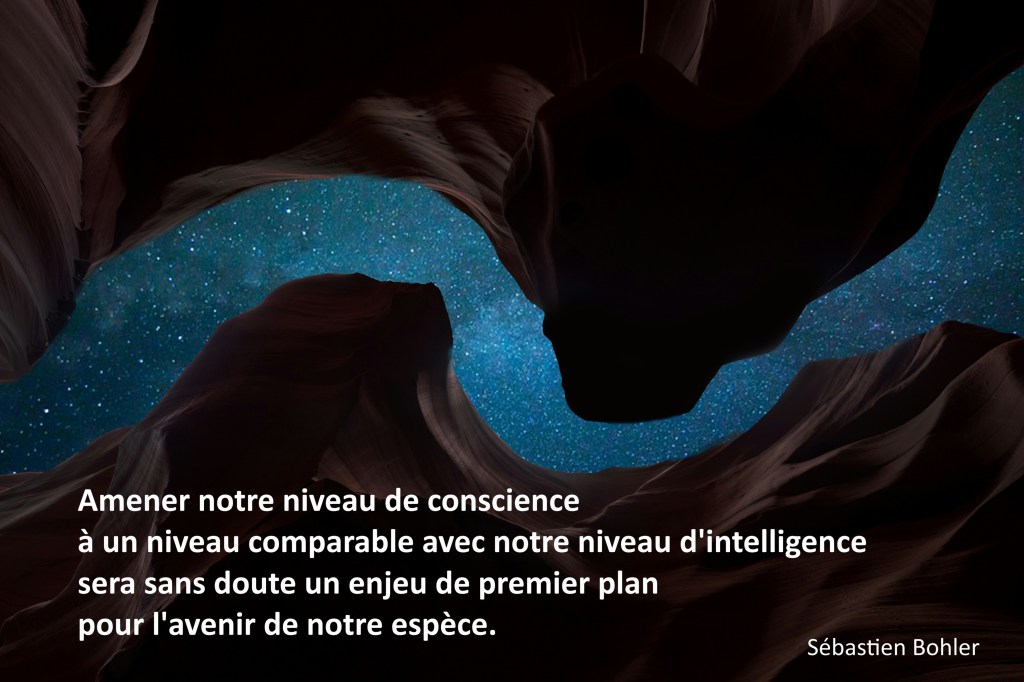 Bonne année en&nbsp;conscience