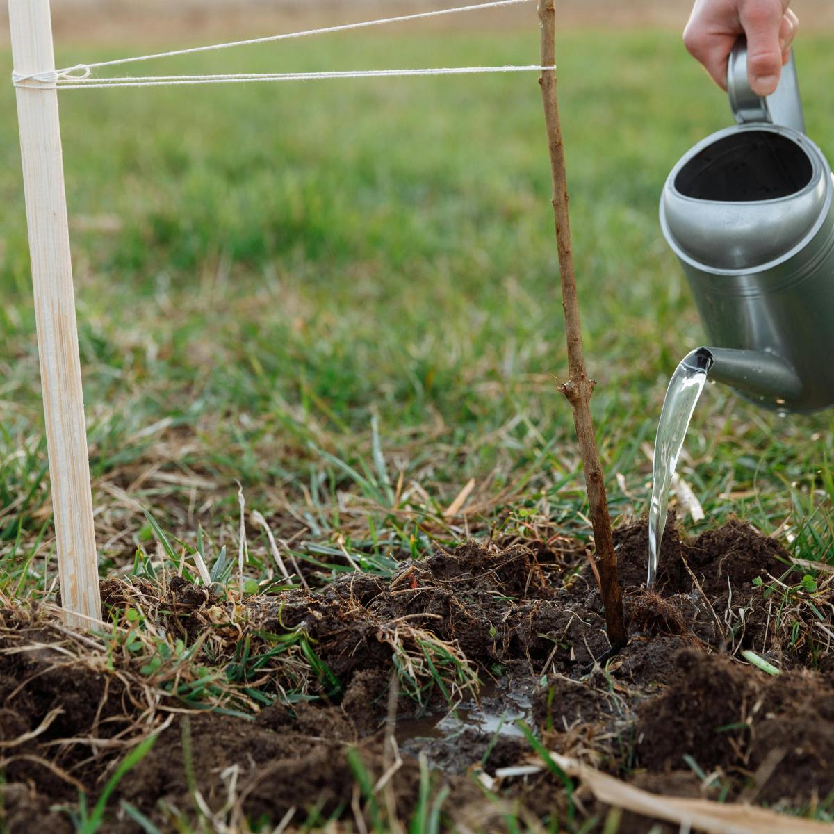 Comportements pour la&nbsp;transition