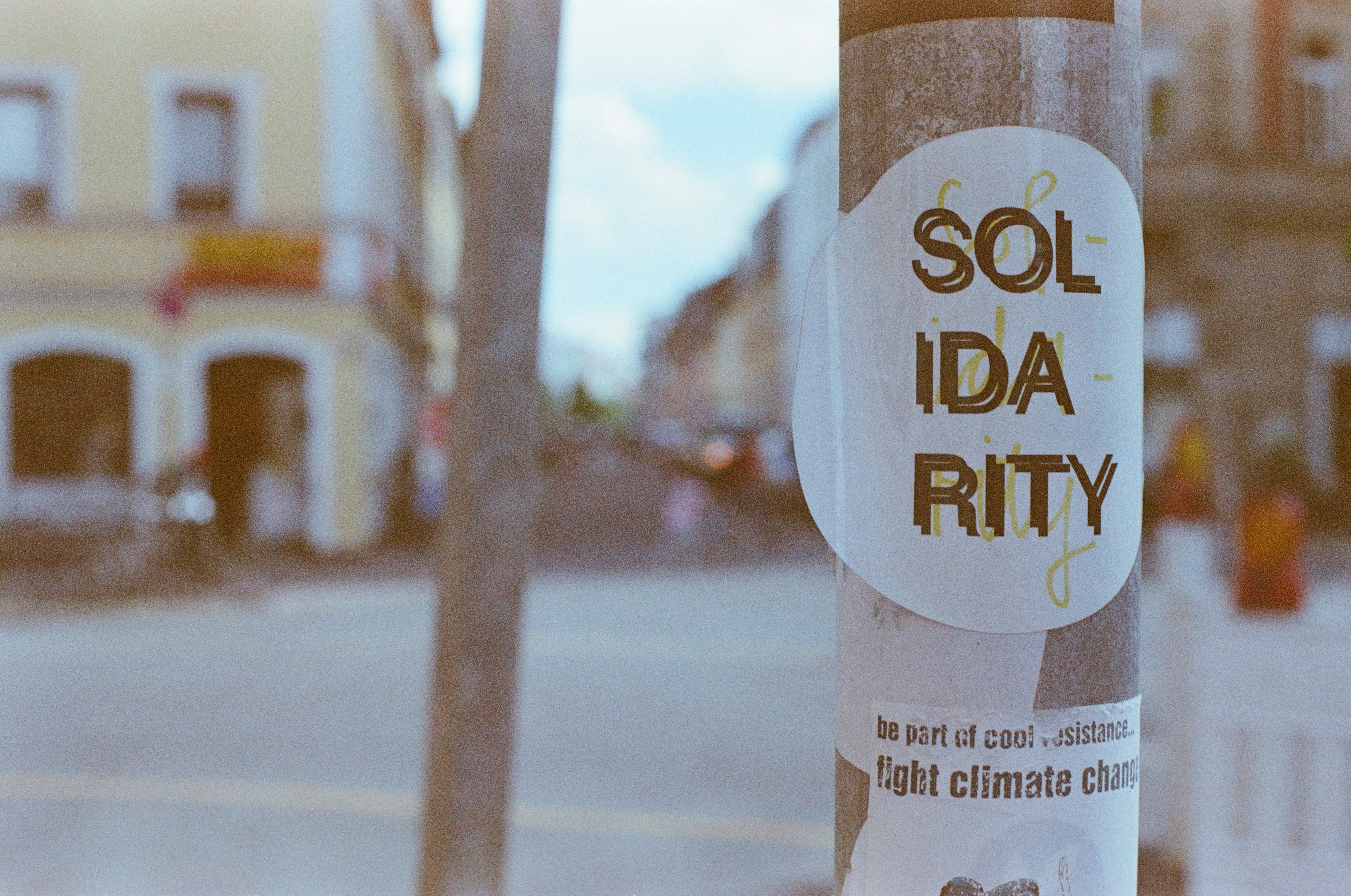 Droits-créances, solidarité et écologie