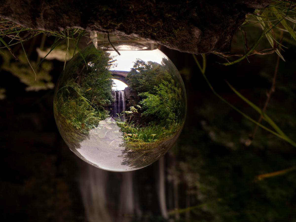 Une synergie dans la diversité des mouvements&nbsp;écologiques